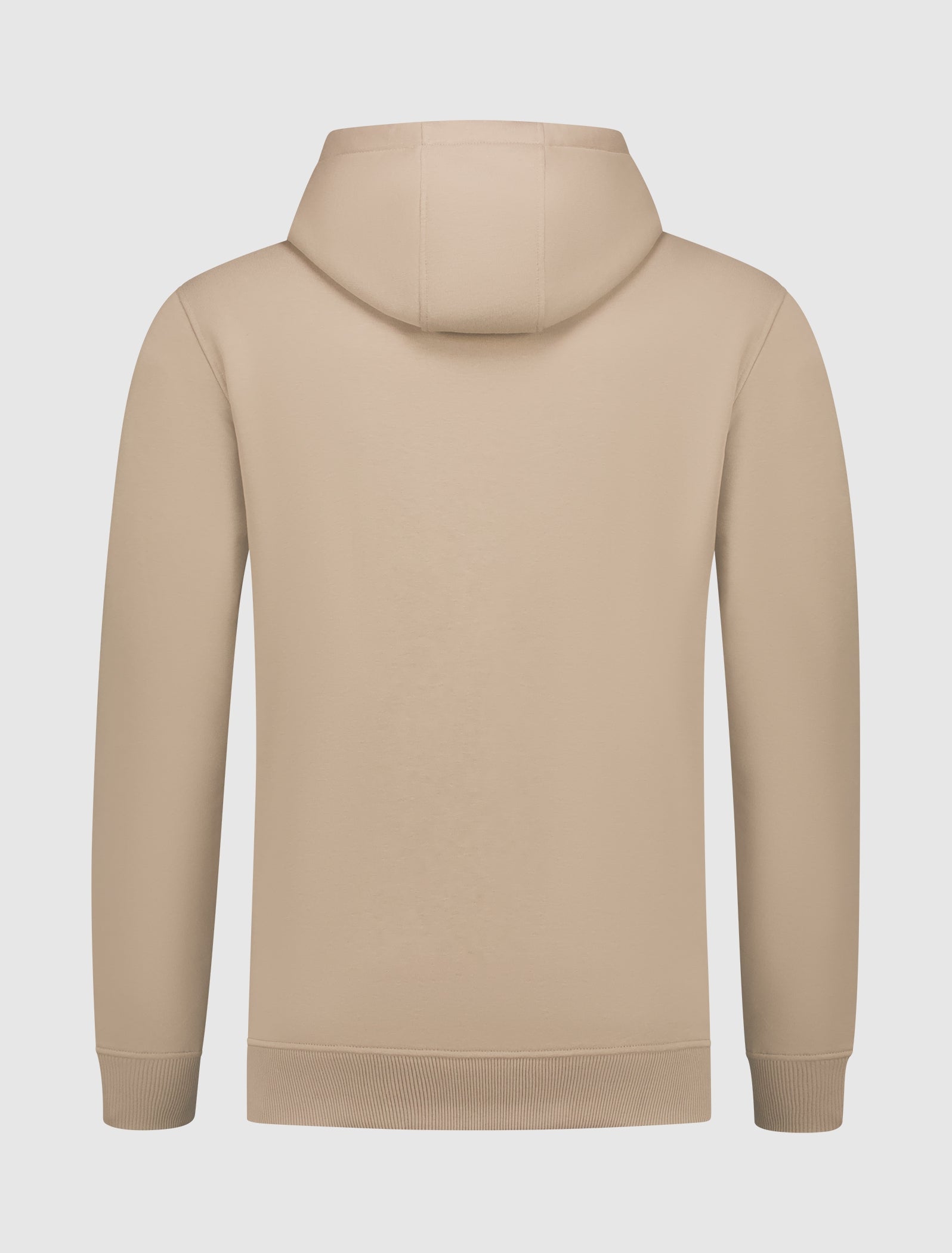 Be ALL IN Hoodie | Taupe