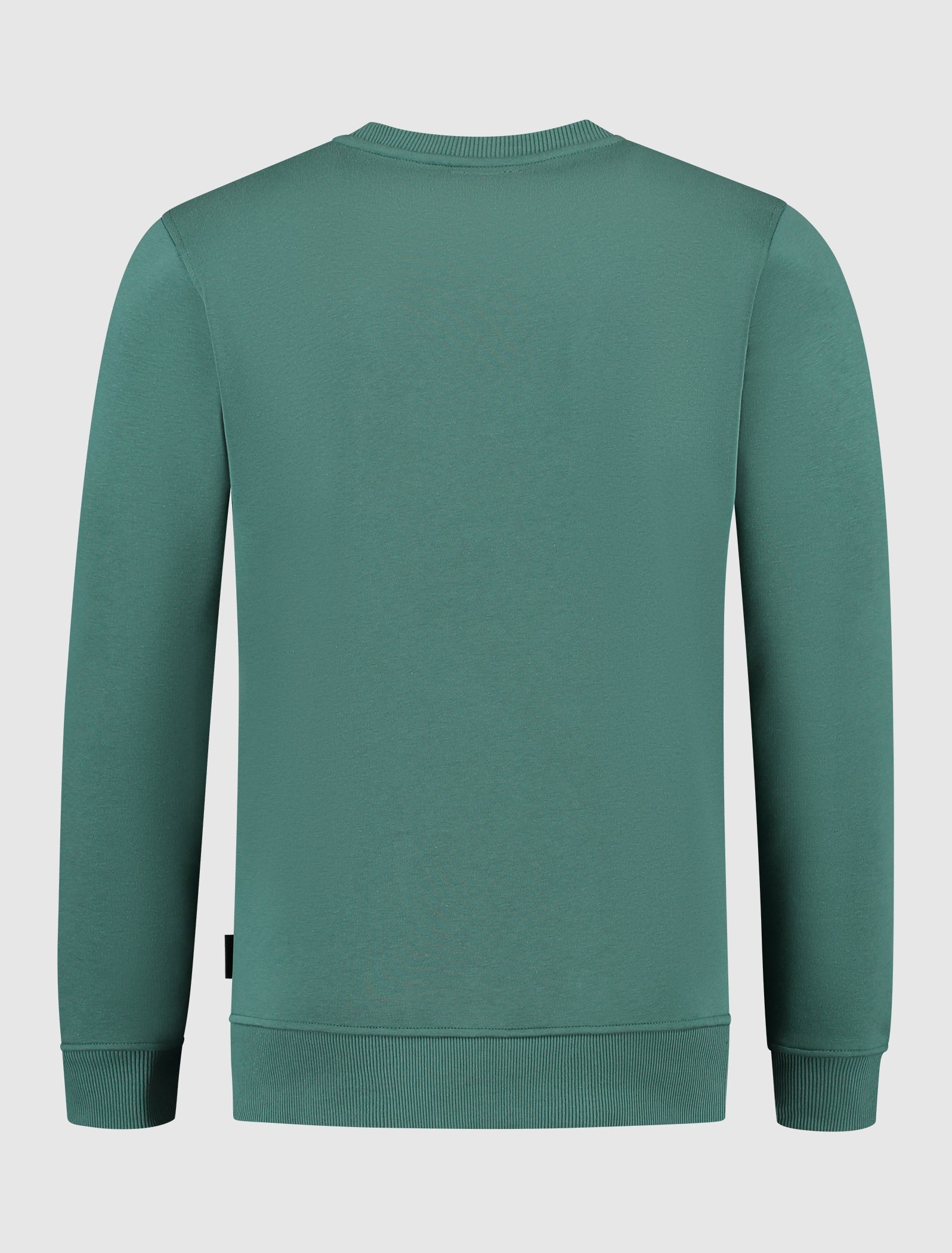 3D Wordmark Sweater | Faded Green