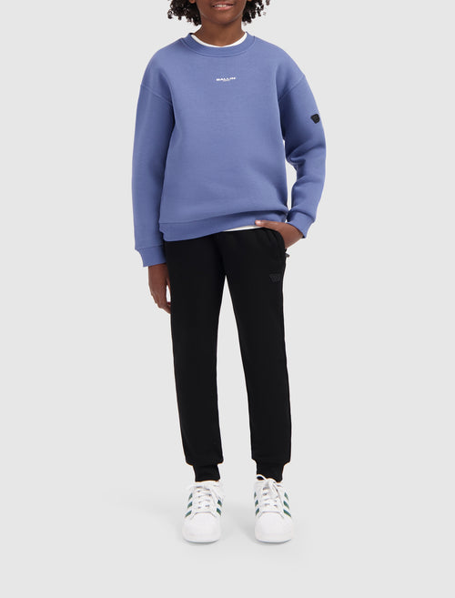 Junior Triangular Circles Logo Sweater | Blue Grey