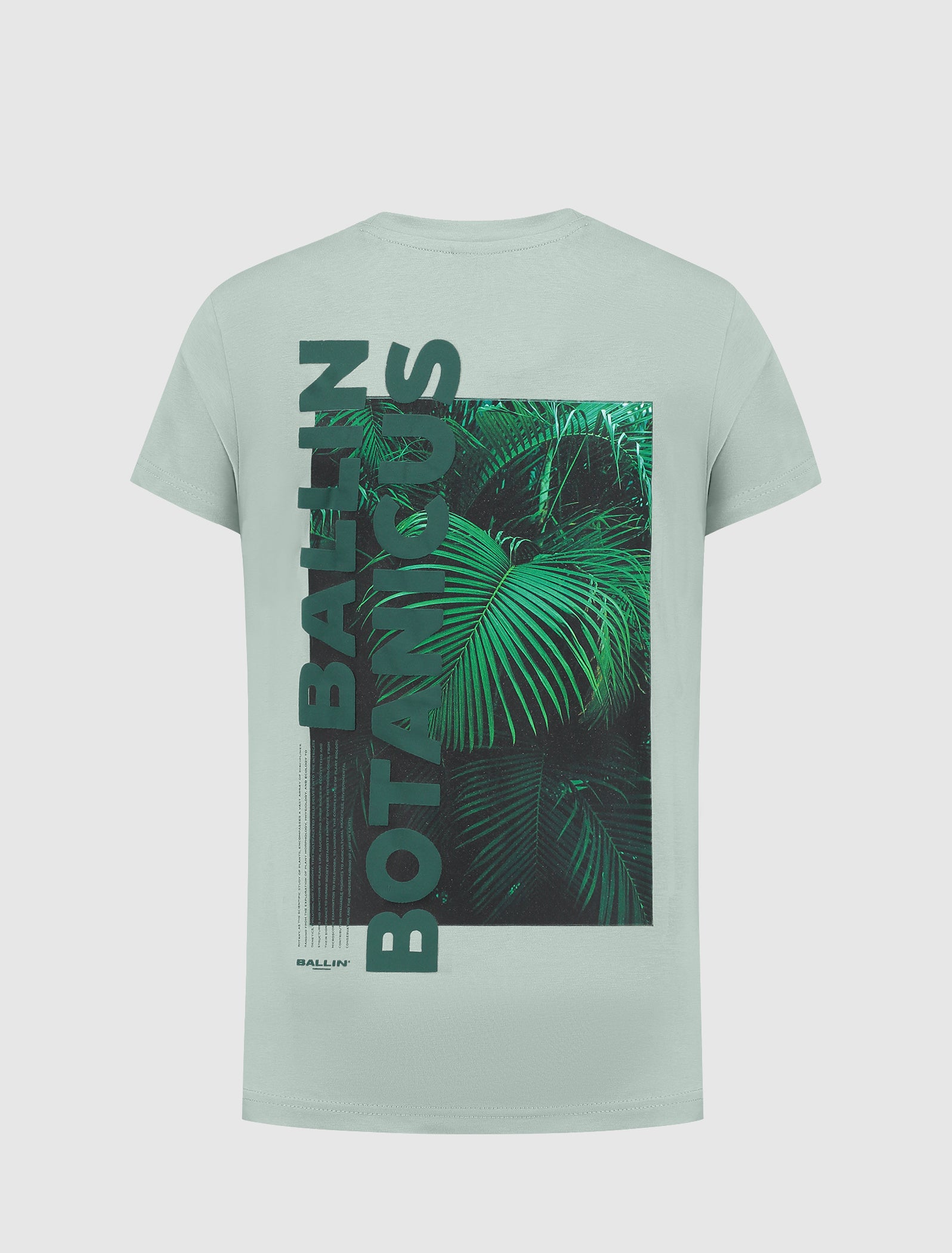 Junior Between Ferns T-shirt | Green
