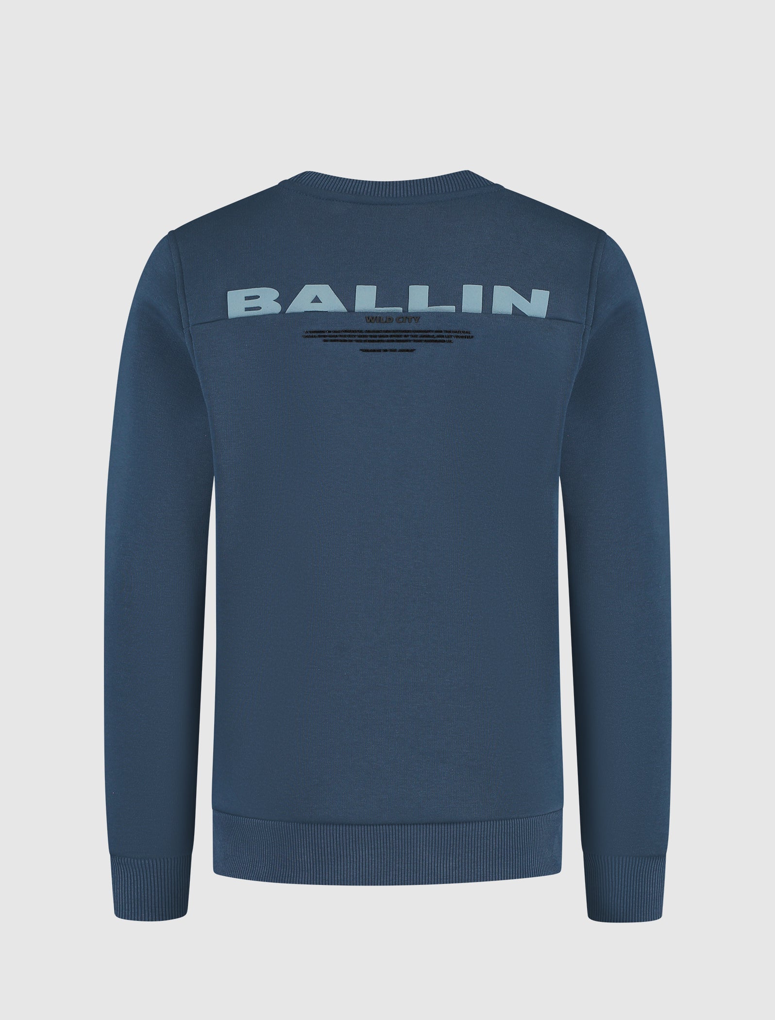 Junior Wild City Sweater | Navy
