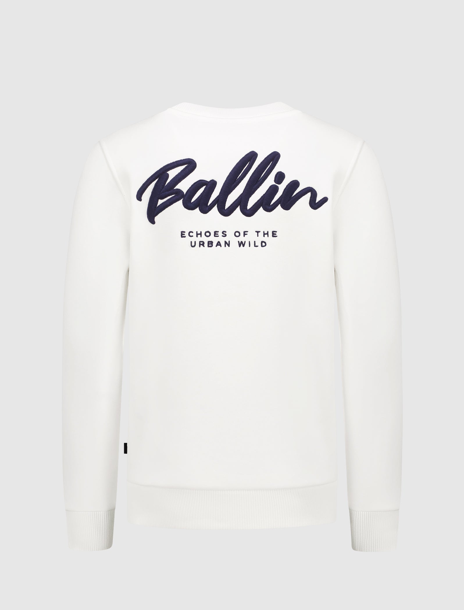 Junior Echoes Sweater | Off White