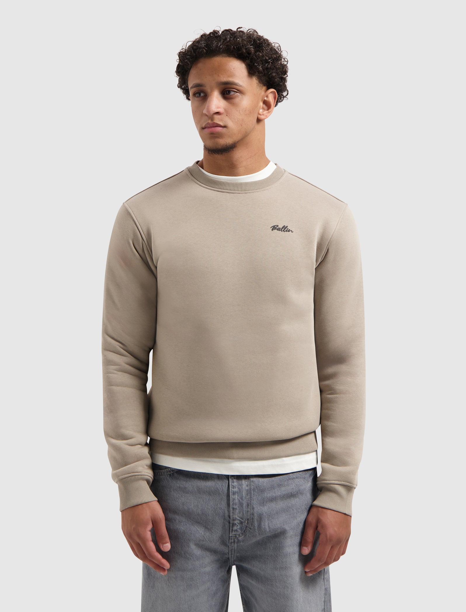 Echoes Of The Urban Wild Sweater | Taupe