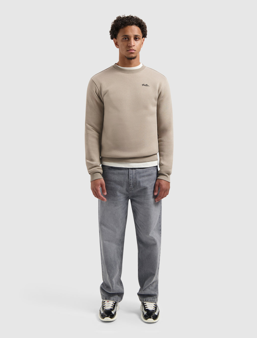 Echoes Of The Urban Wild Sweater | Taupe