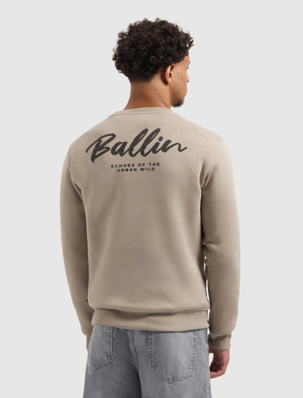 Echoes Of The Urban Wild Sweater | Taupe