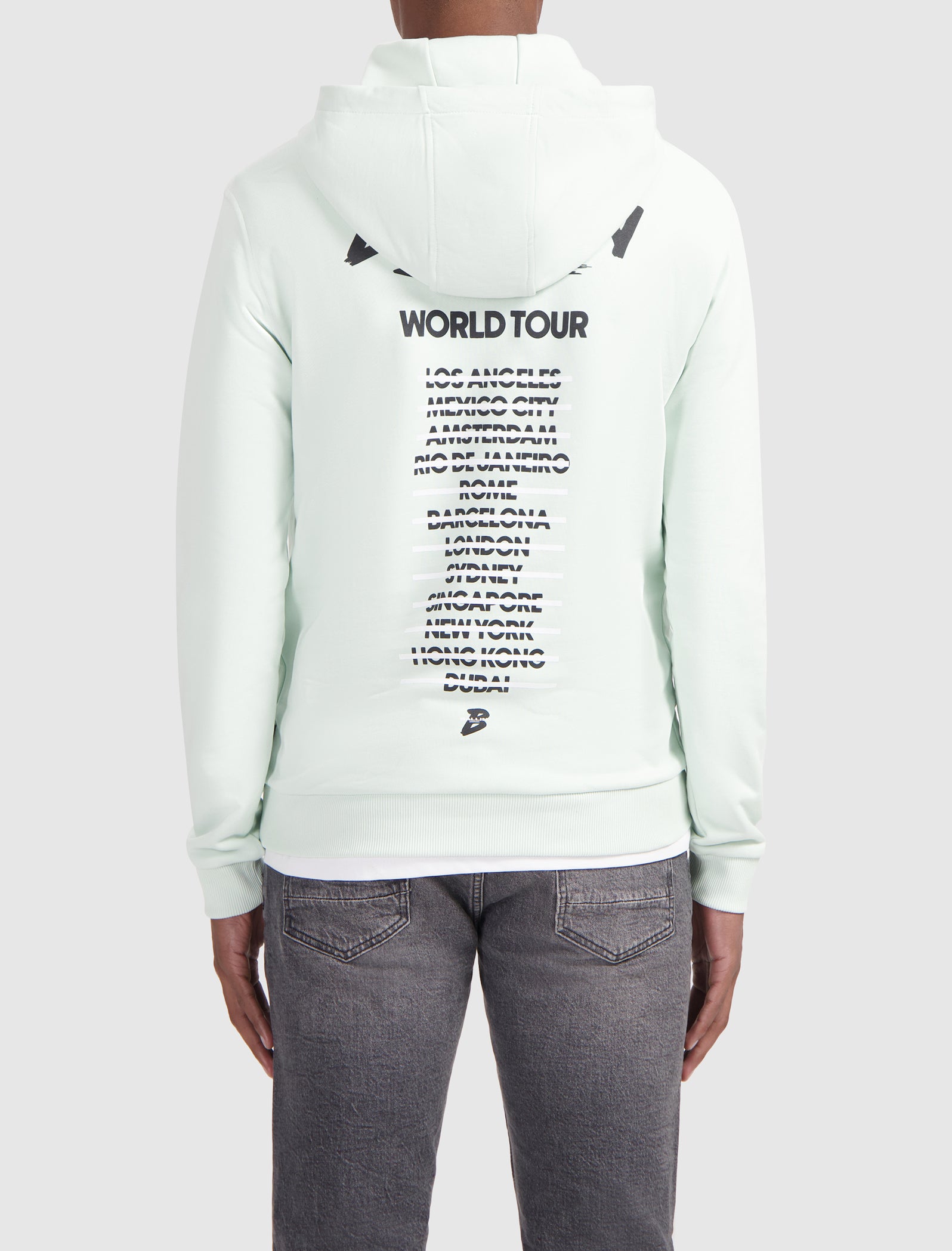 World Tour Hoodie | Light Green